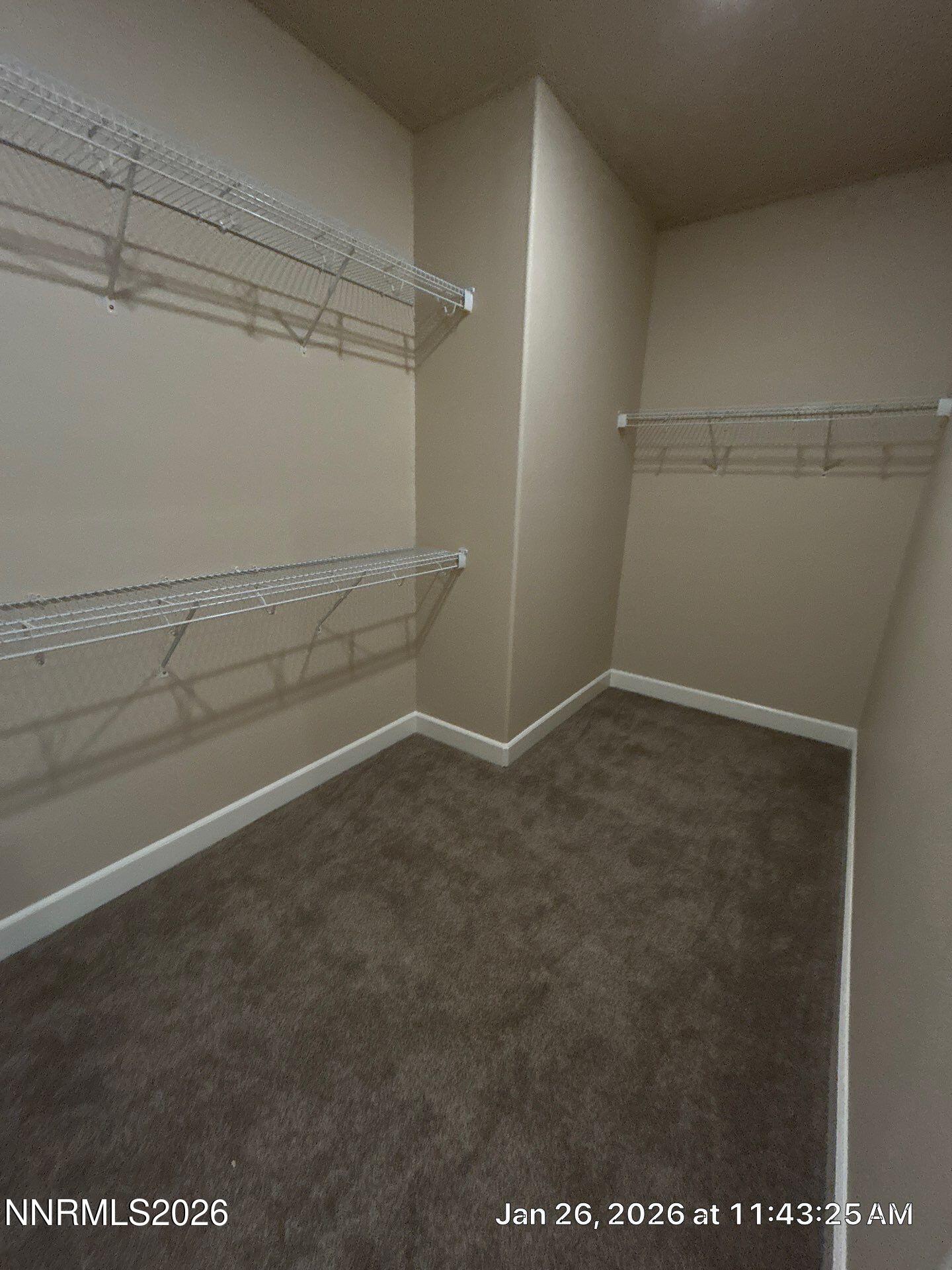 49-Jan 26, 2026 19-43-25-3RKY