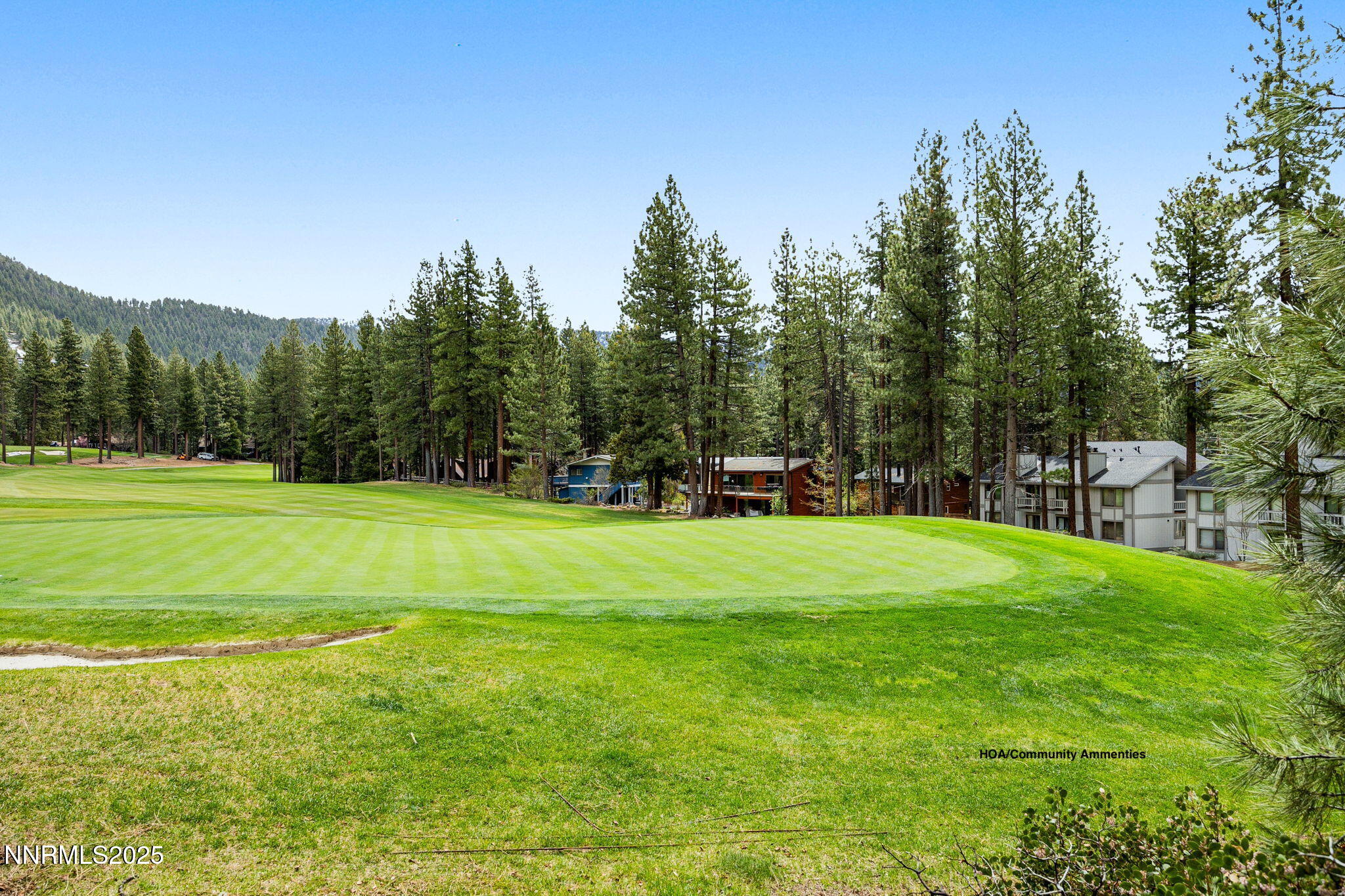 43-web-or-mls-908 Harrold-37