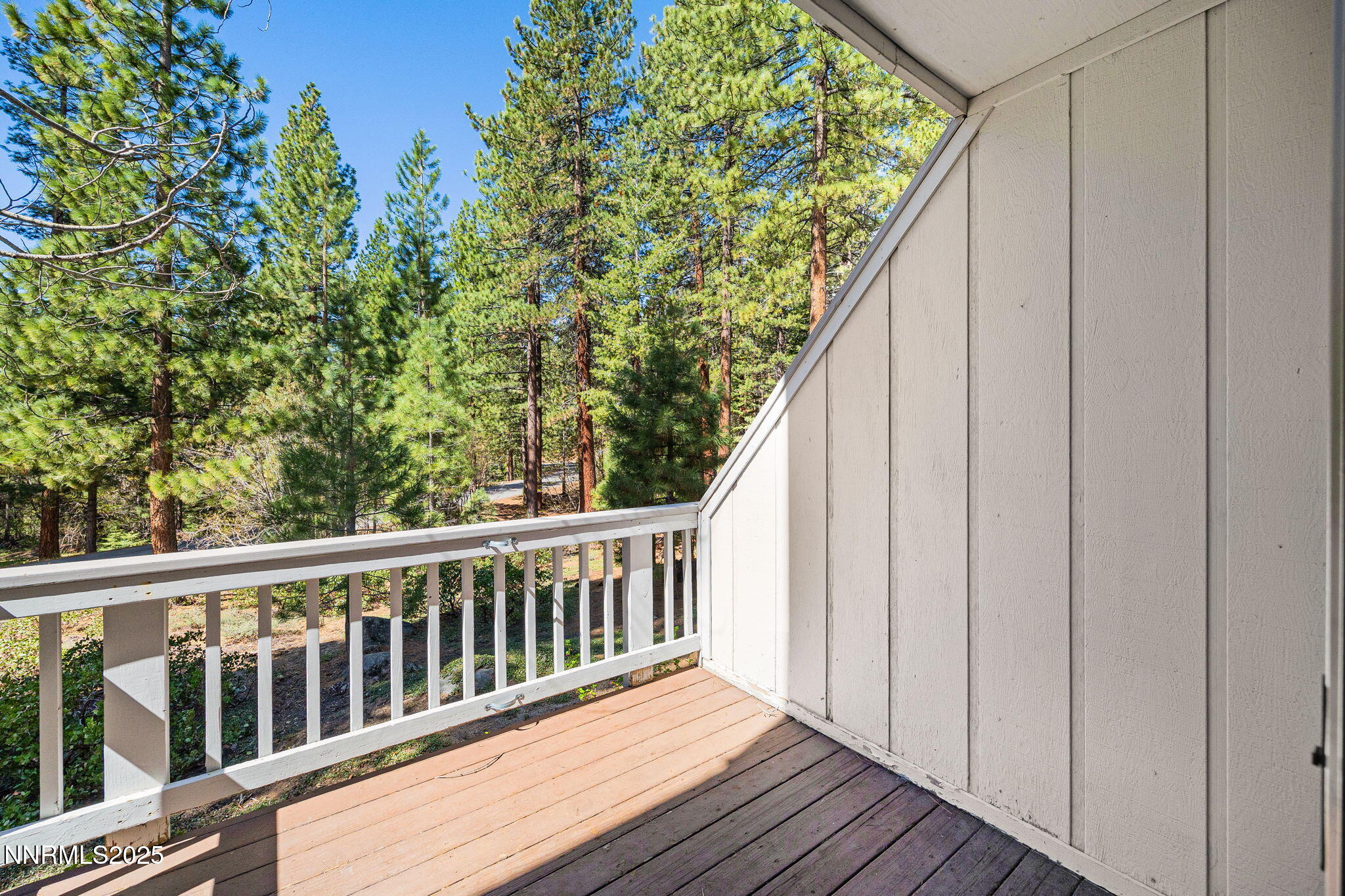 20-web-or-mls-908 Harrold-15