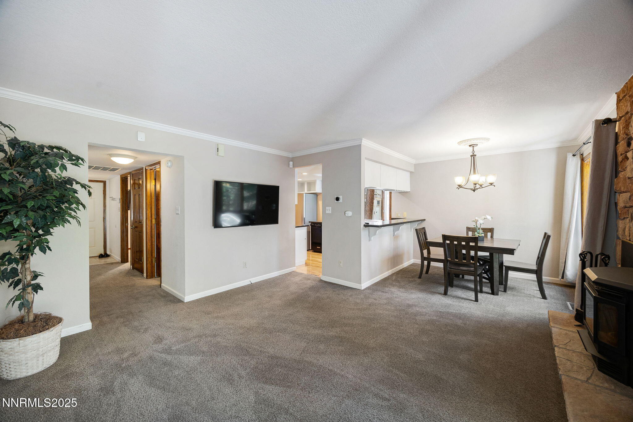 11-web-or-mls-908 Harrold-8