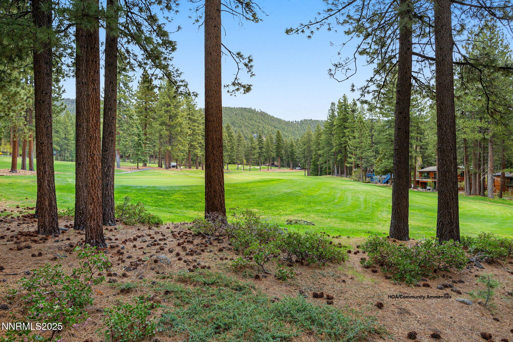 41-web-or-mls-908 Harrold-36