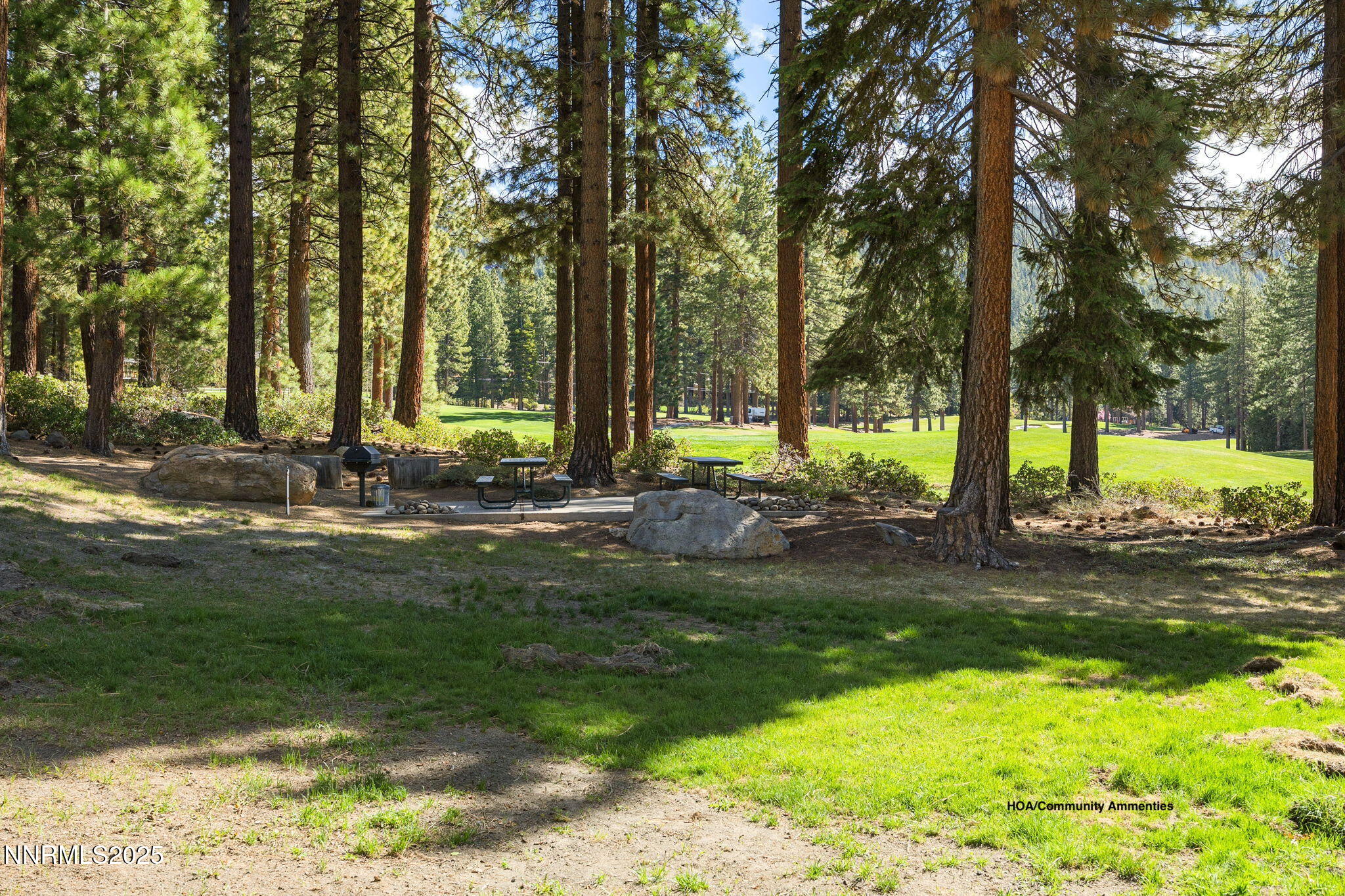 44-web-or-mls-908 Harrold