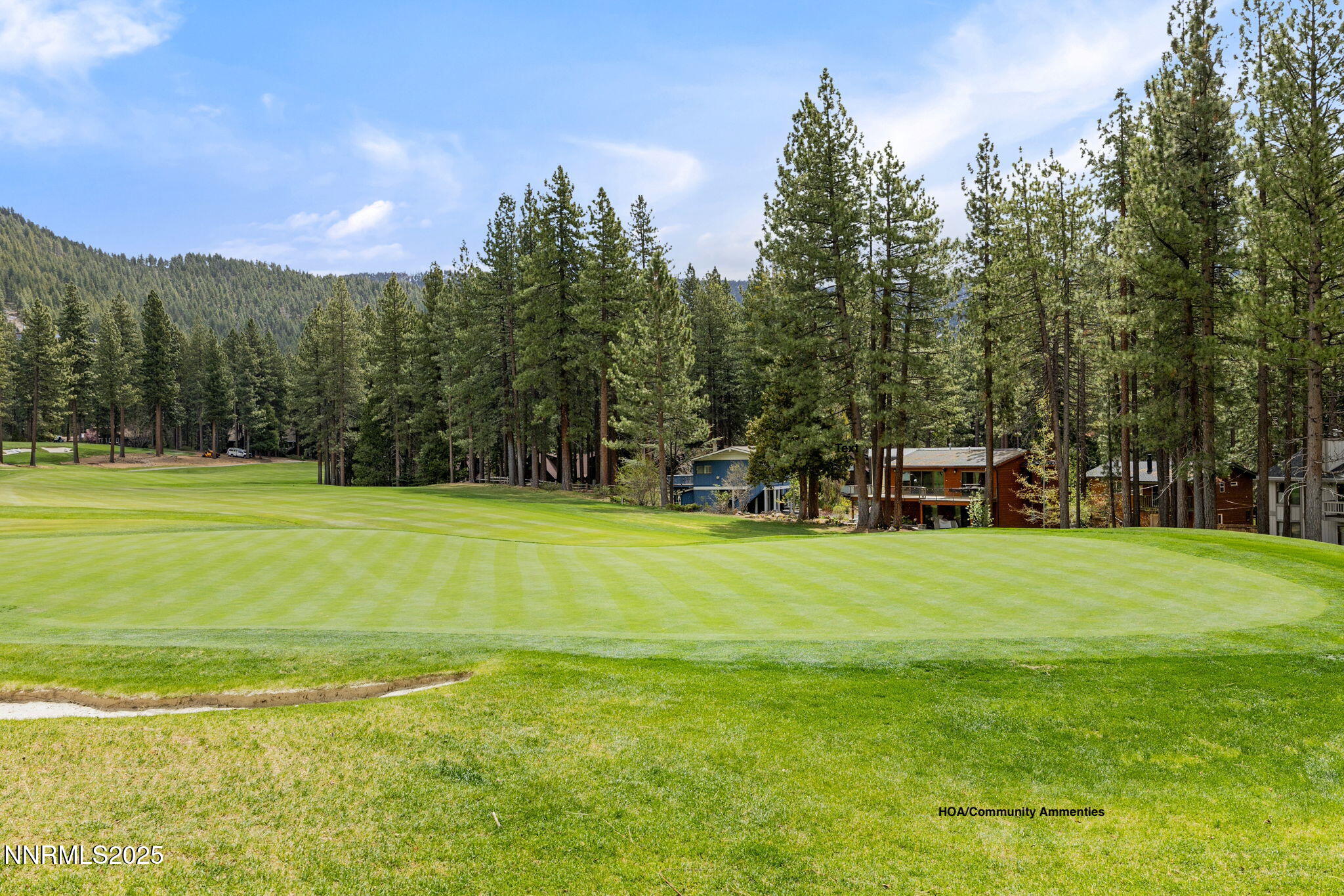 42-web-or-mls-908 Harrold-38