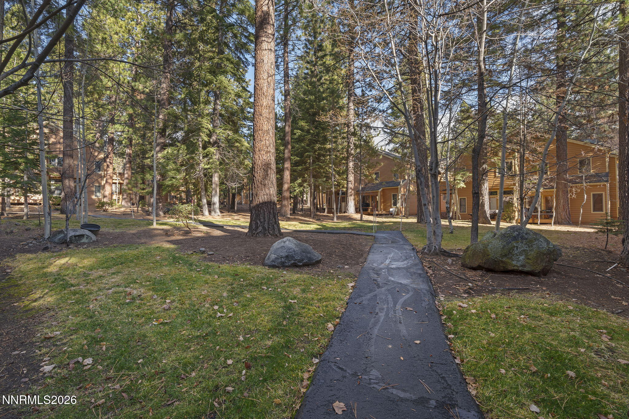 26-web-or-mls-_DSC2695