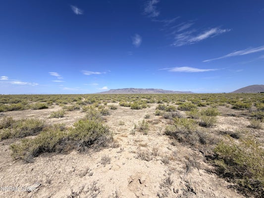 2875 ANDREW JACKSON AVE, BATTLE MOUNTAIN, NV 89820 - Image 1bf380eec0f8c3febf28a30fb99b95f1/3537993087