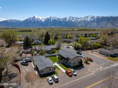 1532 & 1534 County Road Minden NV 89423