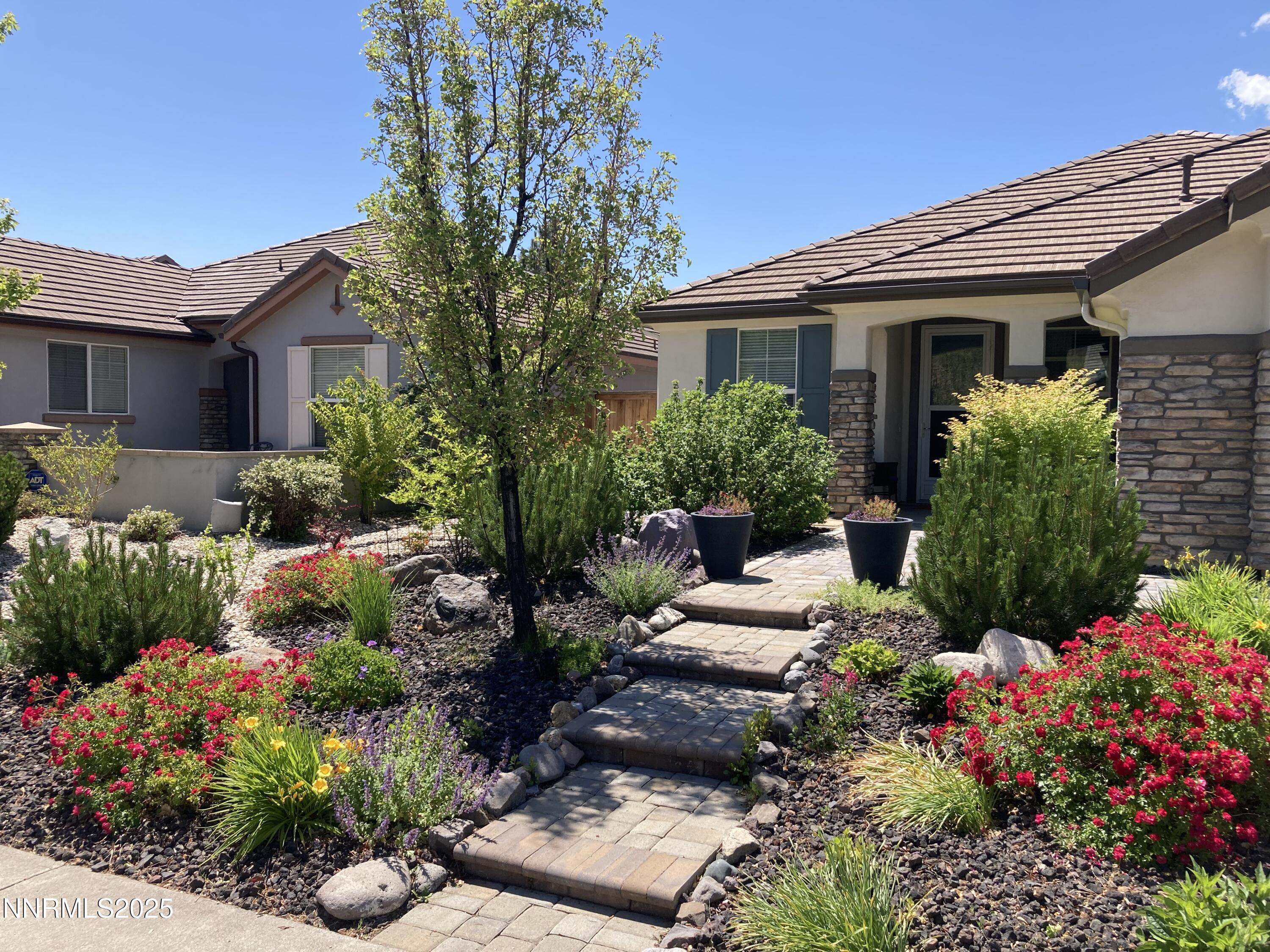 1 front Cabin Creek Lyons