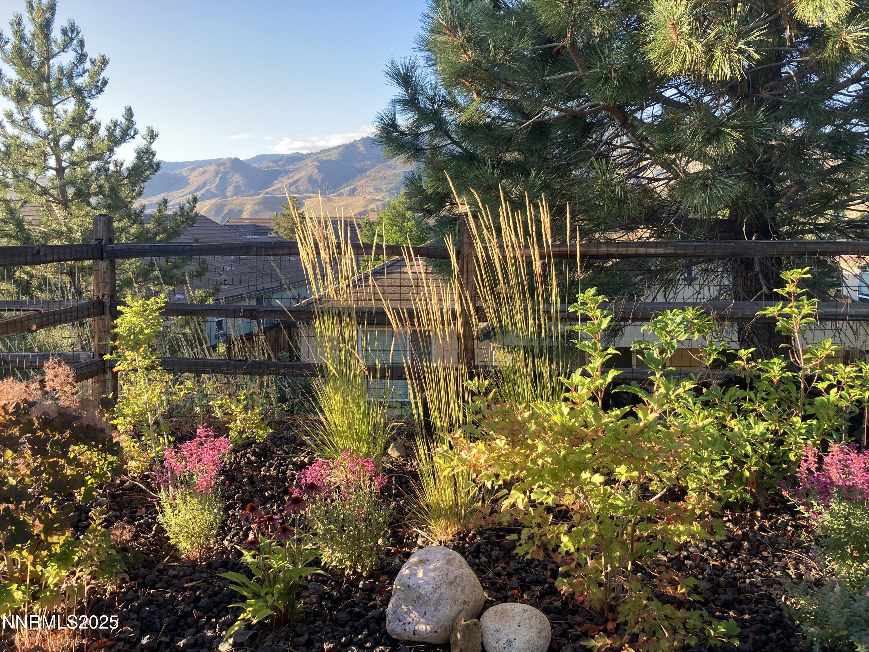 4 view back Cabin Creek Lyons