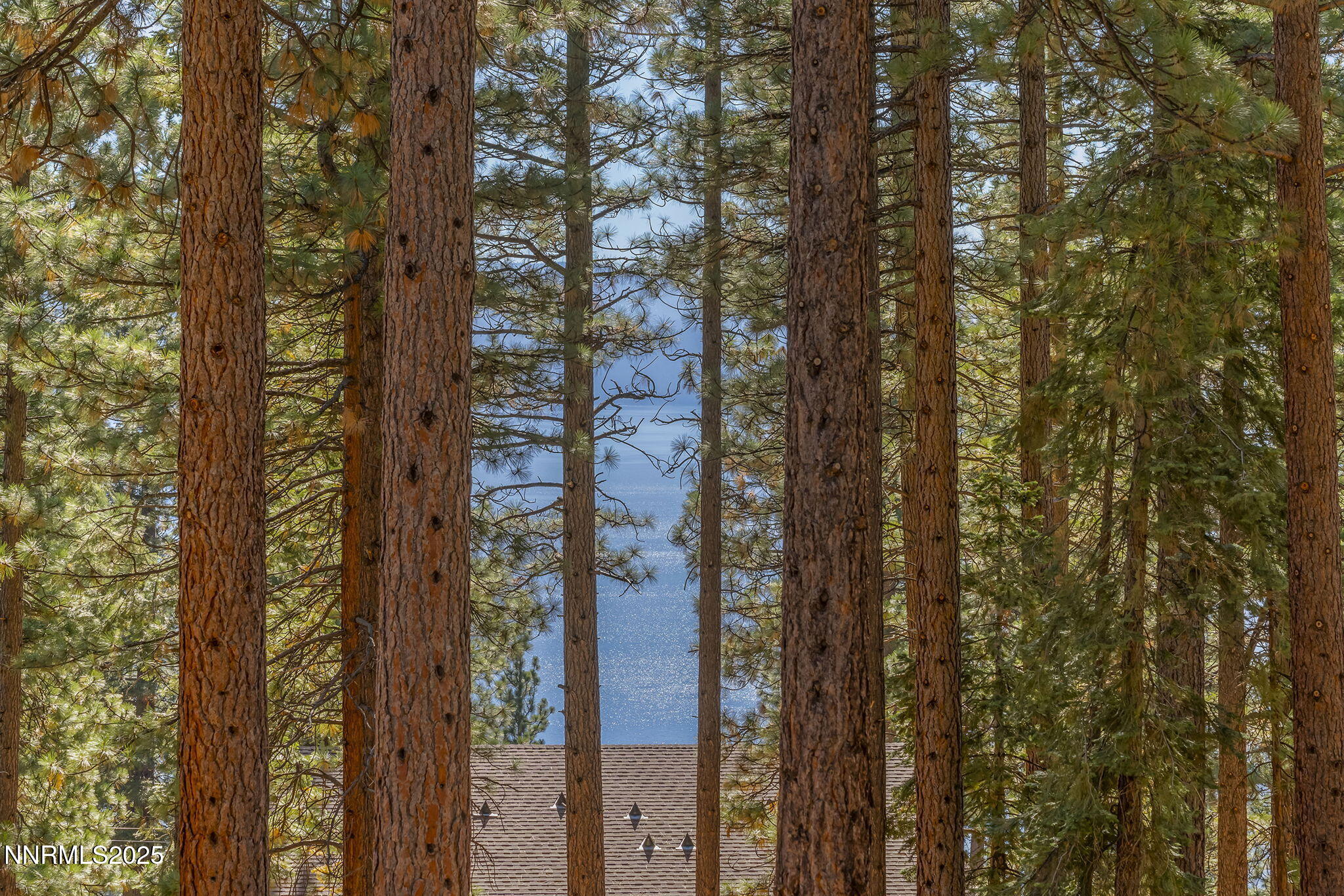 42-web-or-mls-_DSC0275