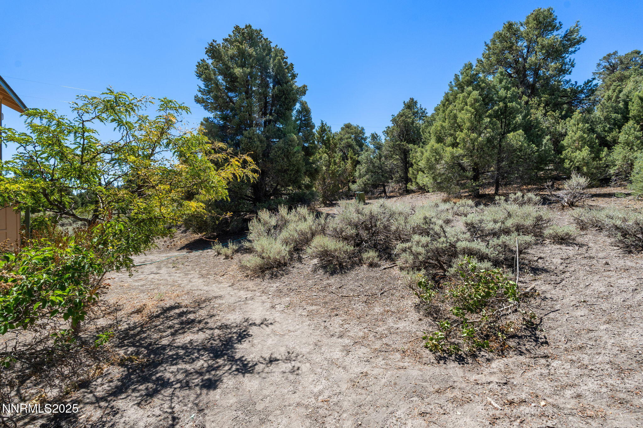 46-web-or-mls-DSC09698