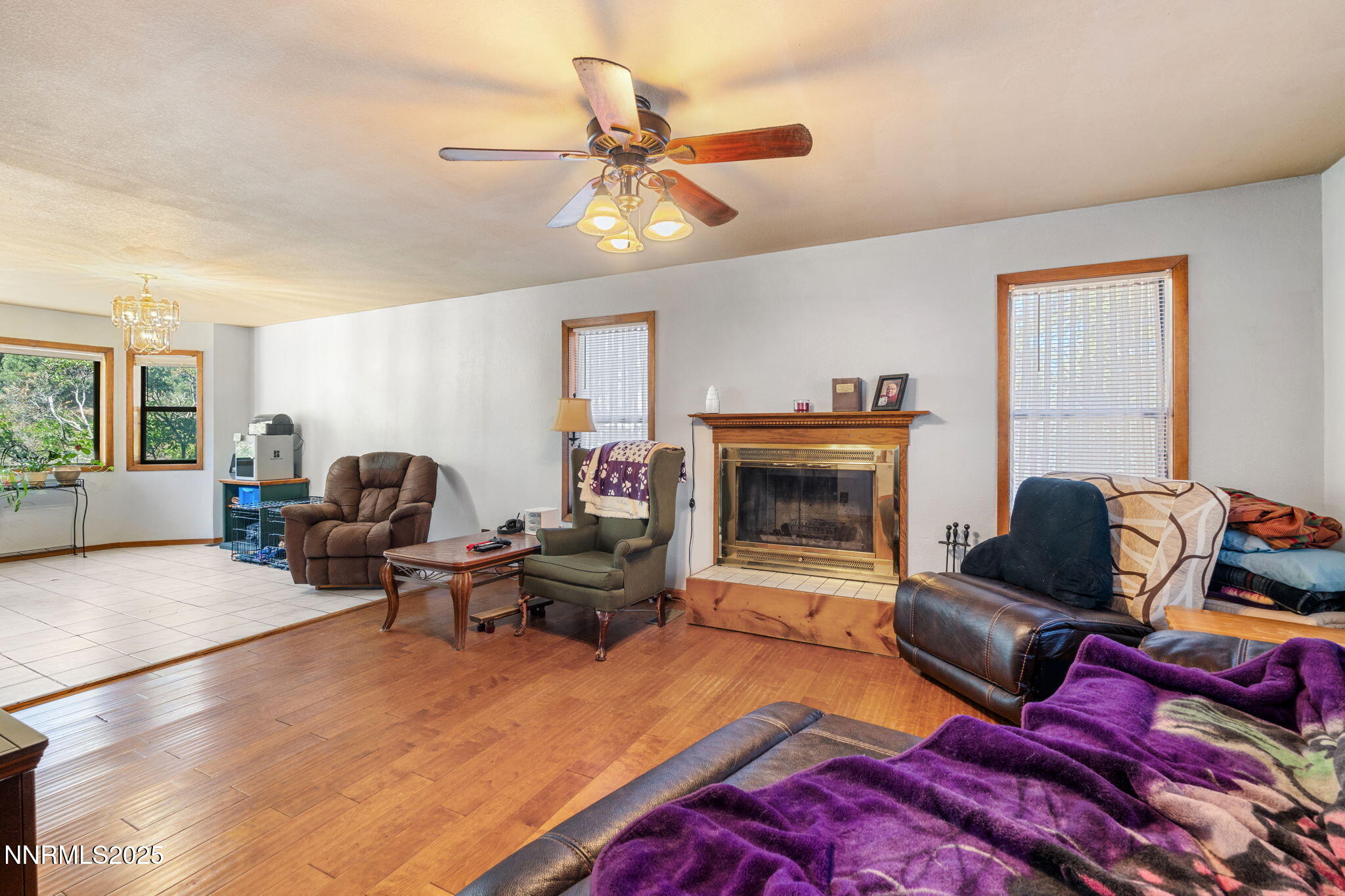 17-web-or-mls-DSC09680