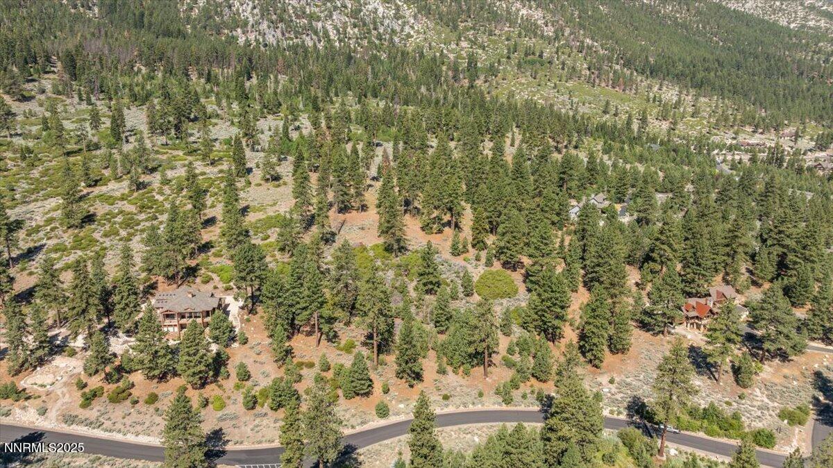 13-DJI_20250611095823_0018_D