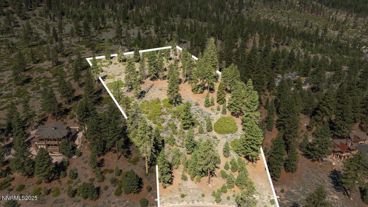 16-DJI_20250611095858_0019_D