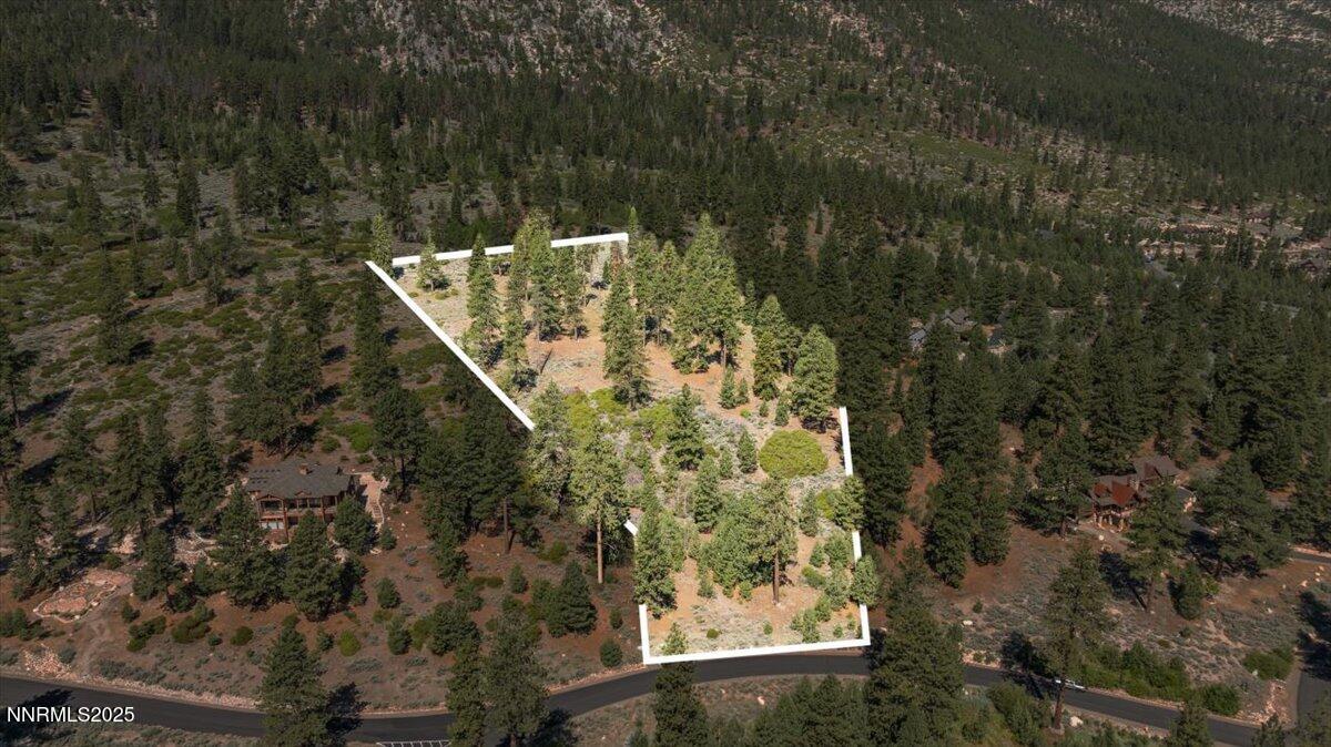 14-DJI_20250611095823_0018_D