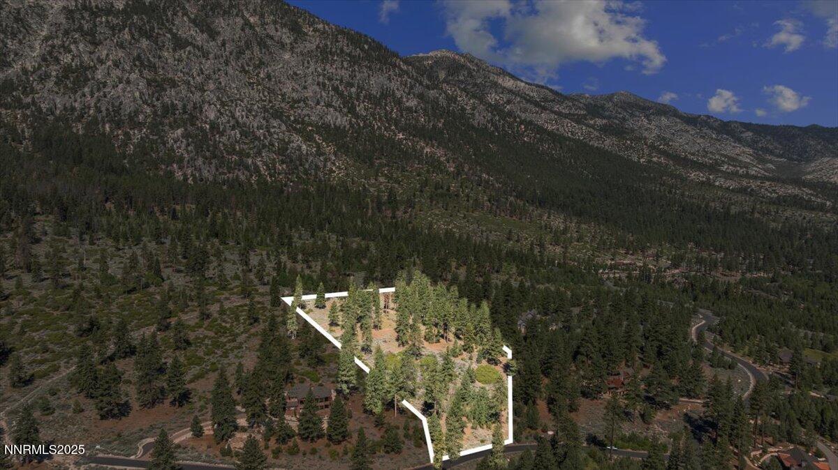 12-DJI_20250611095801_0017_D