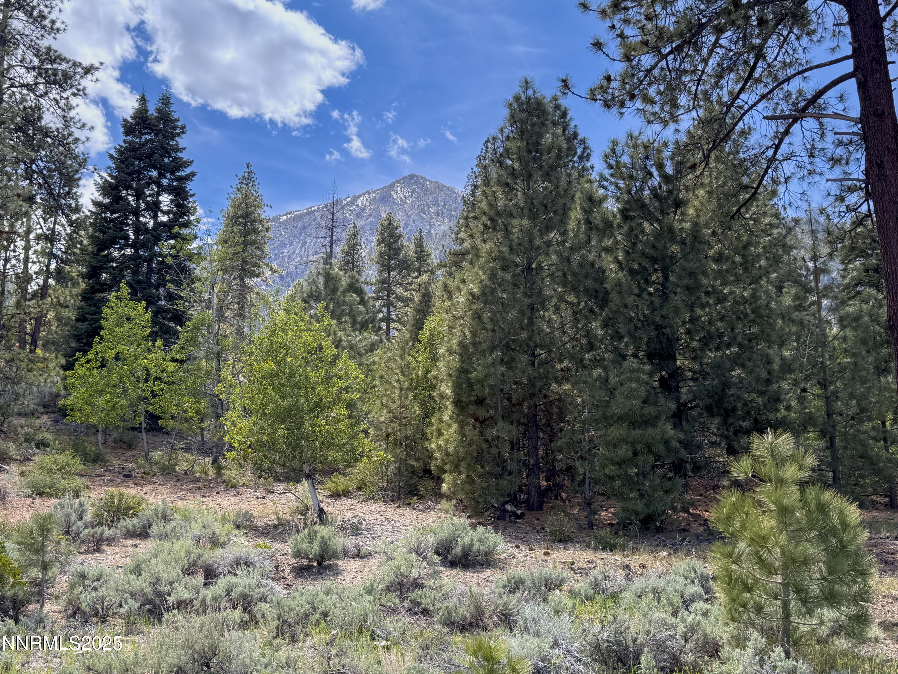 Nature's Edge Lot View