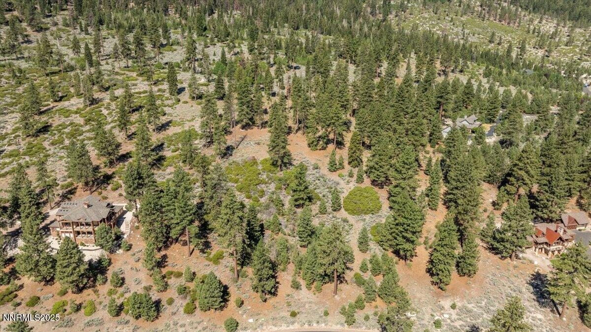 15-DJI_20250611095858_0019_D