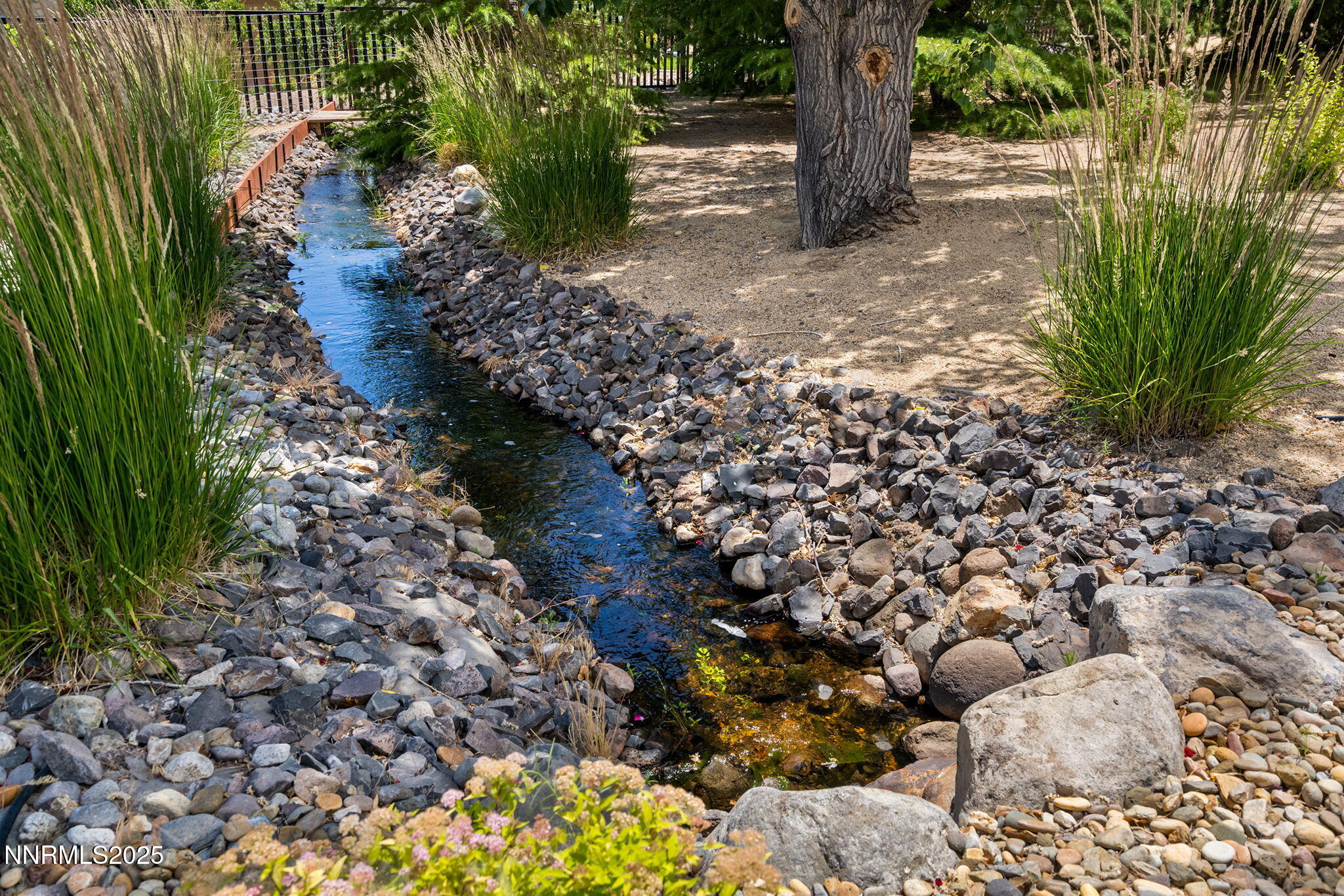 80-web-or-mls-_DSC0205