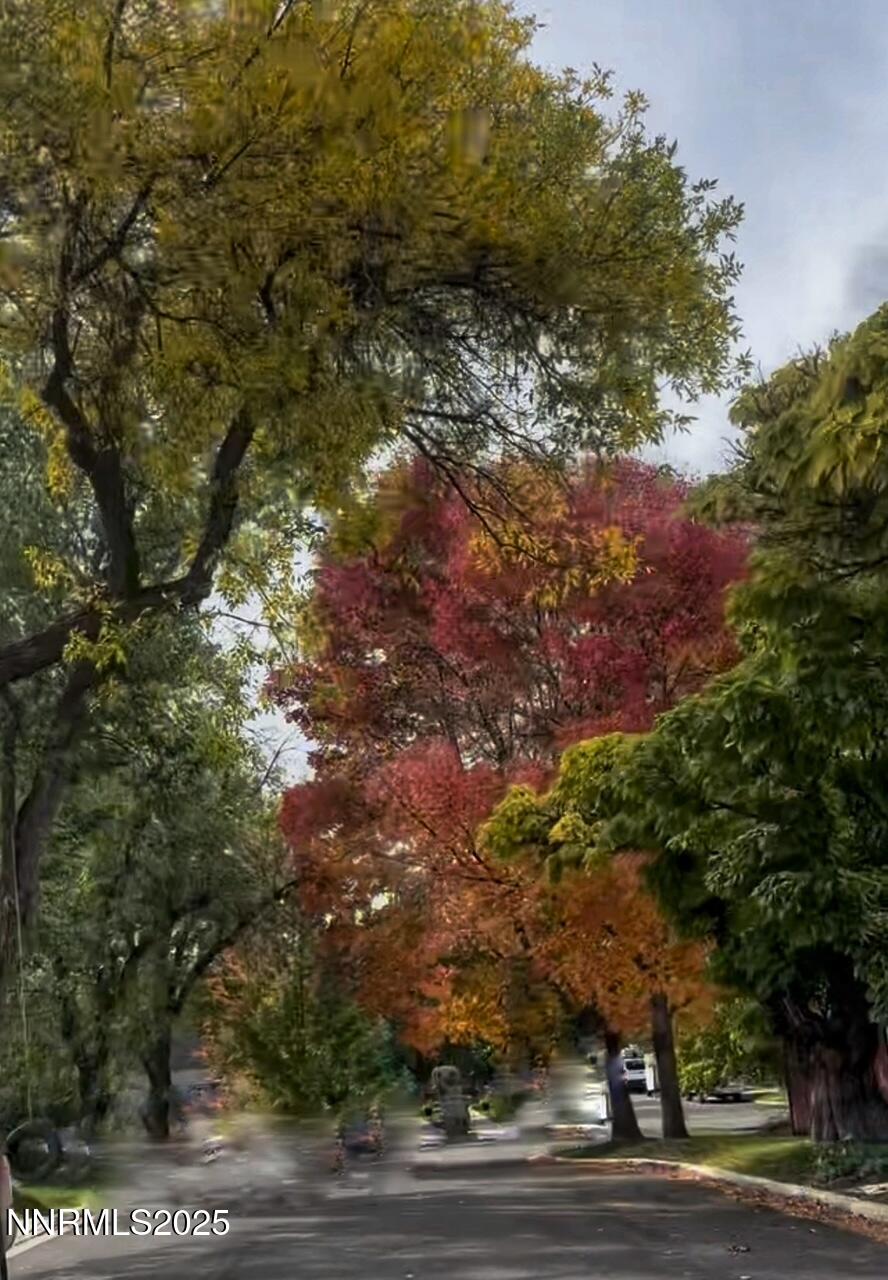 IMG_4775_SnapseedCopy