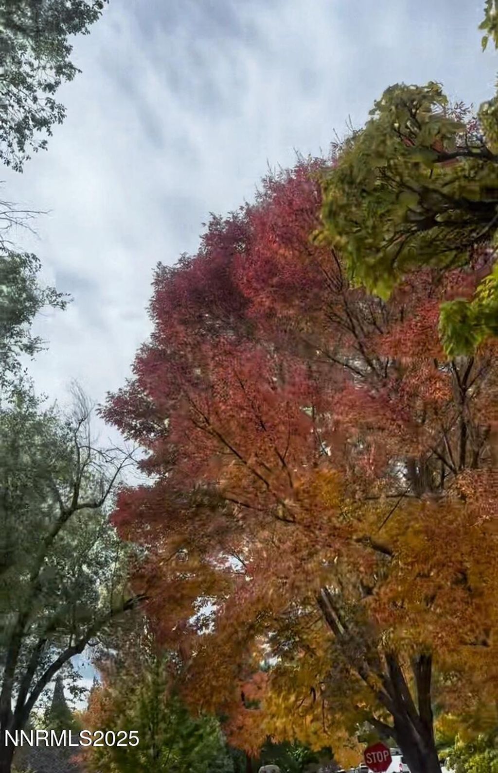 Photo of 611 &amp; 611A Nixon Avenue, Reno, NV 89509 (MLS # 250059324)