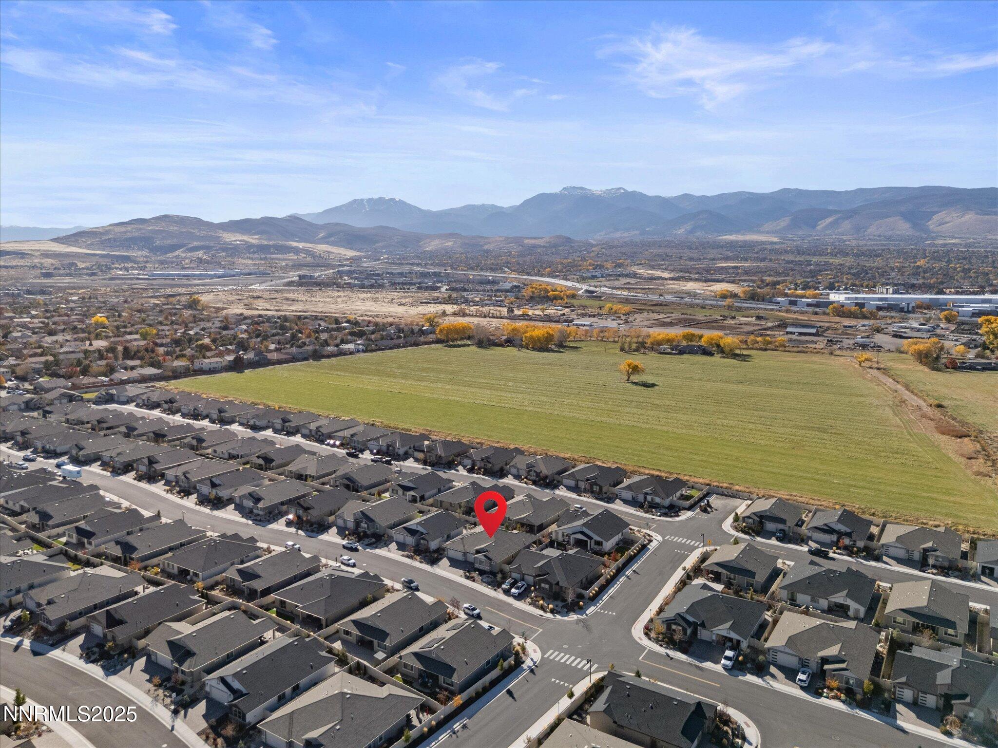 4-11167 Grazing Cattle Ln-162