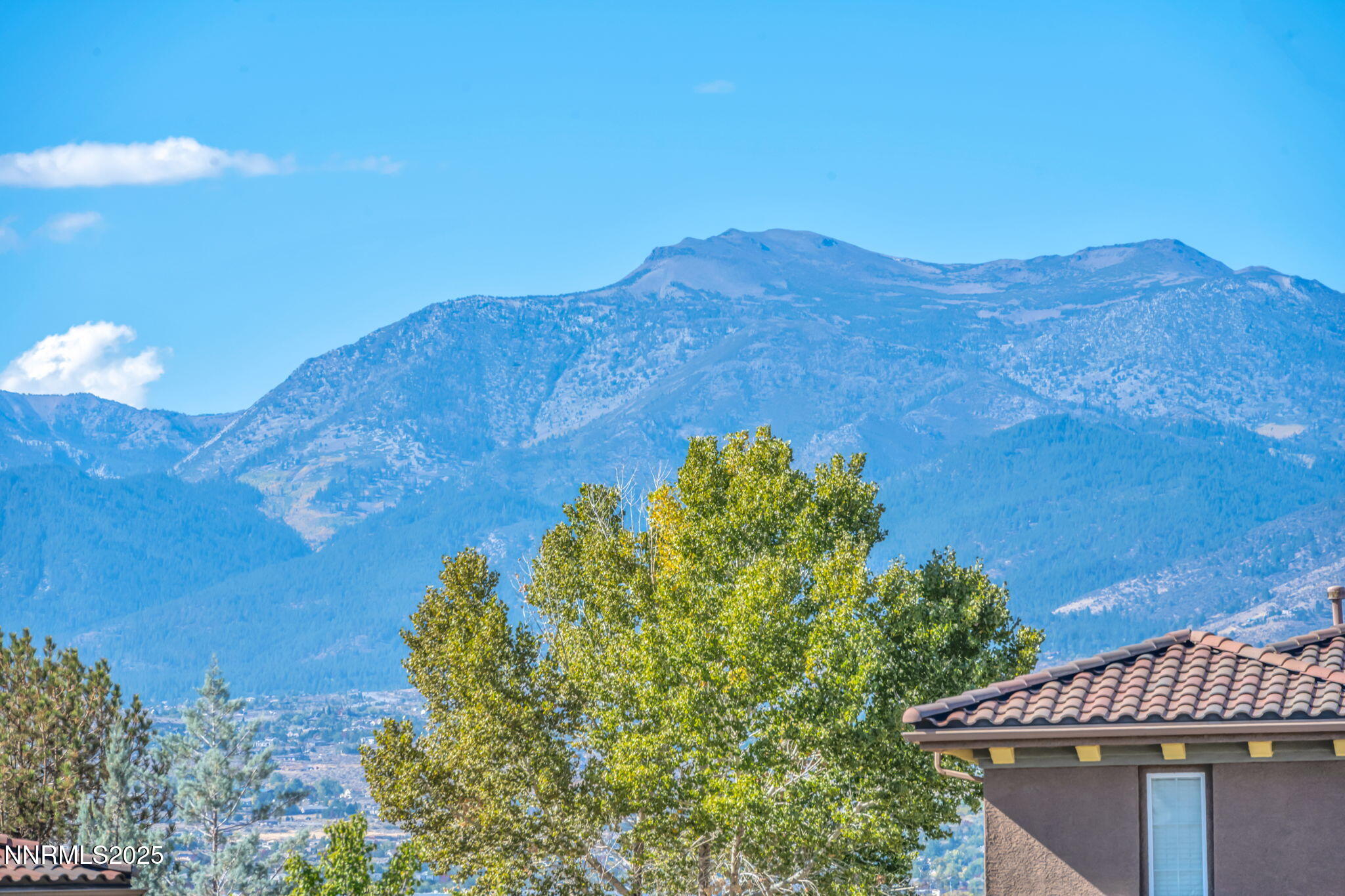 5-web-or-mls-9845-copenhagen-way