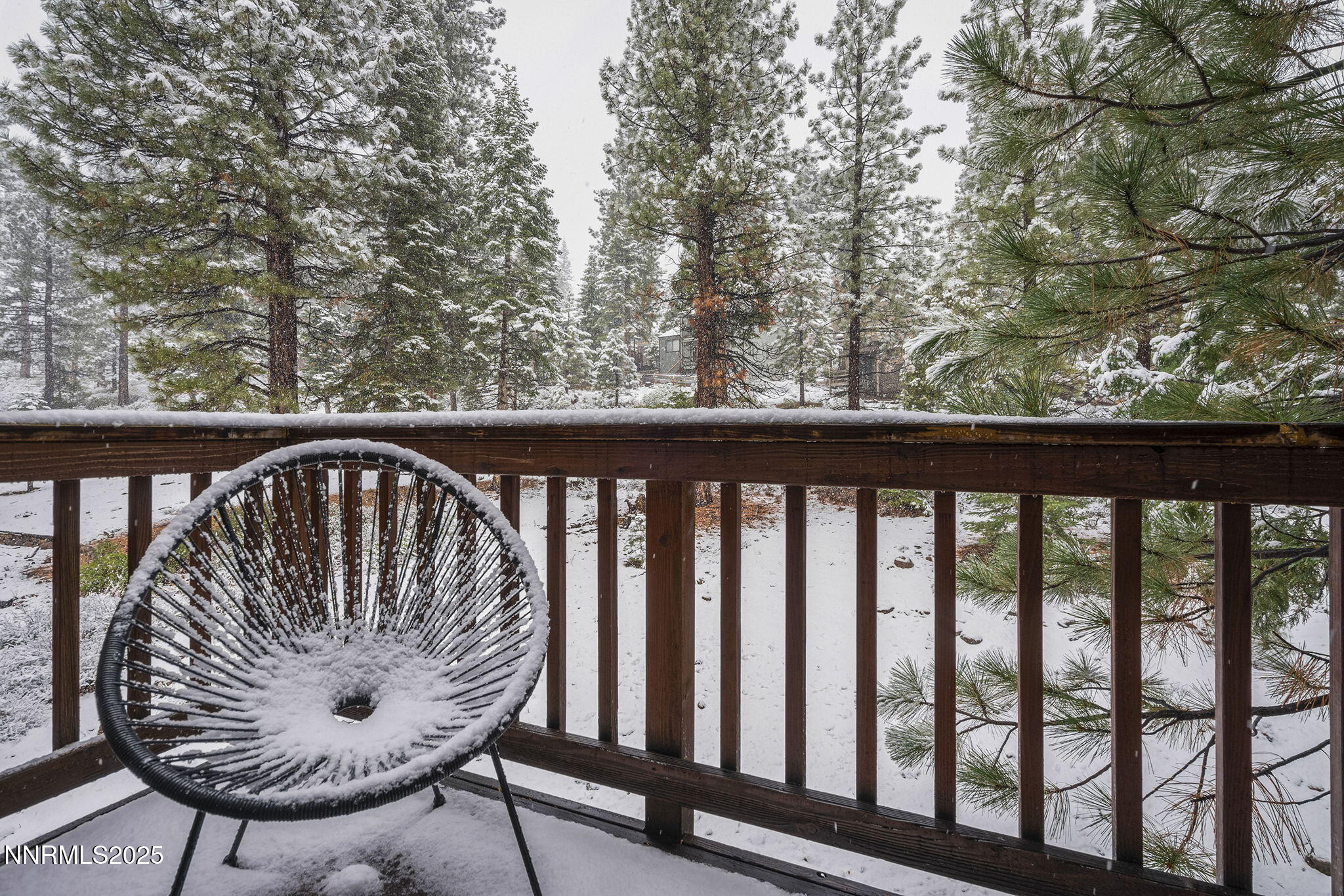 16-web-or-mls-_DSC0185