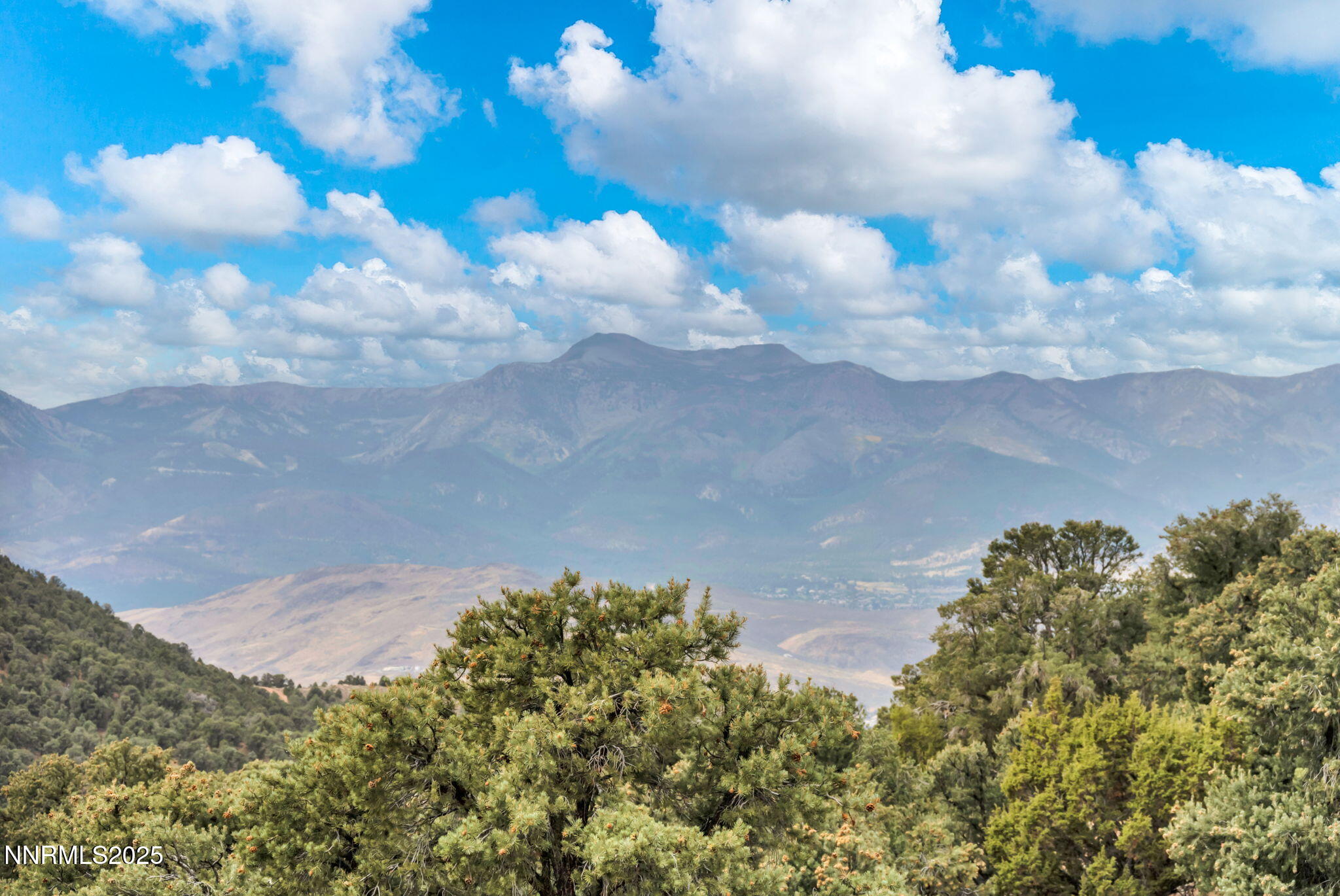 24-web-or-mls-1300-yellow-jacket-rd