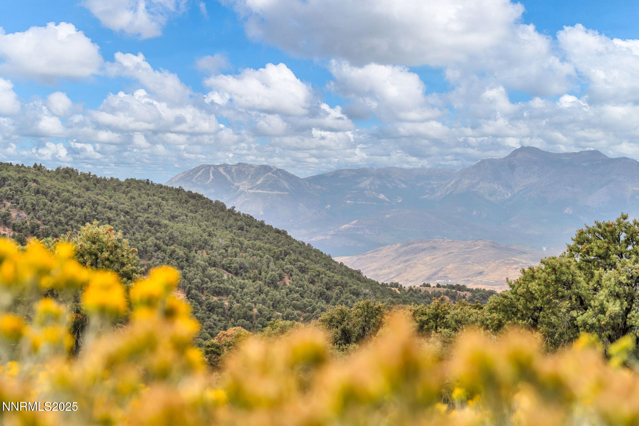 26-web-or-mls-1300-yellow-jacket-rd