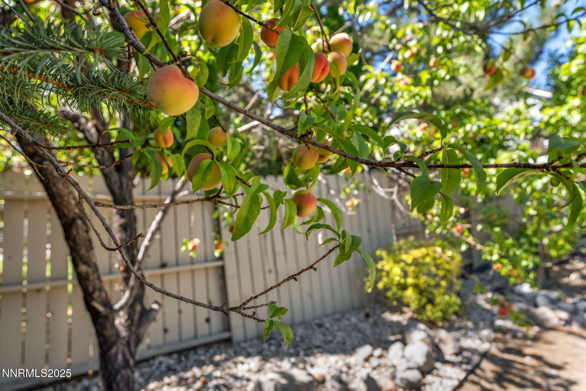 12-web-or-mls-6170-n-deer-meadows-ct