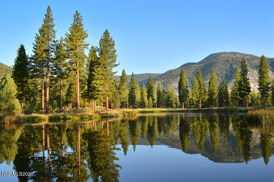 Pond on Golf Course