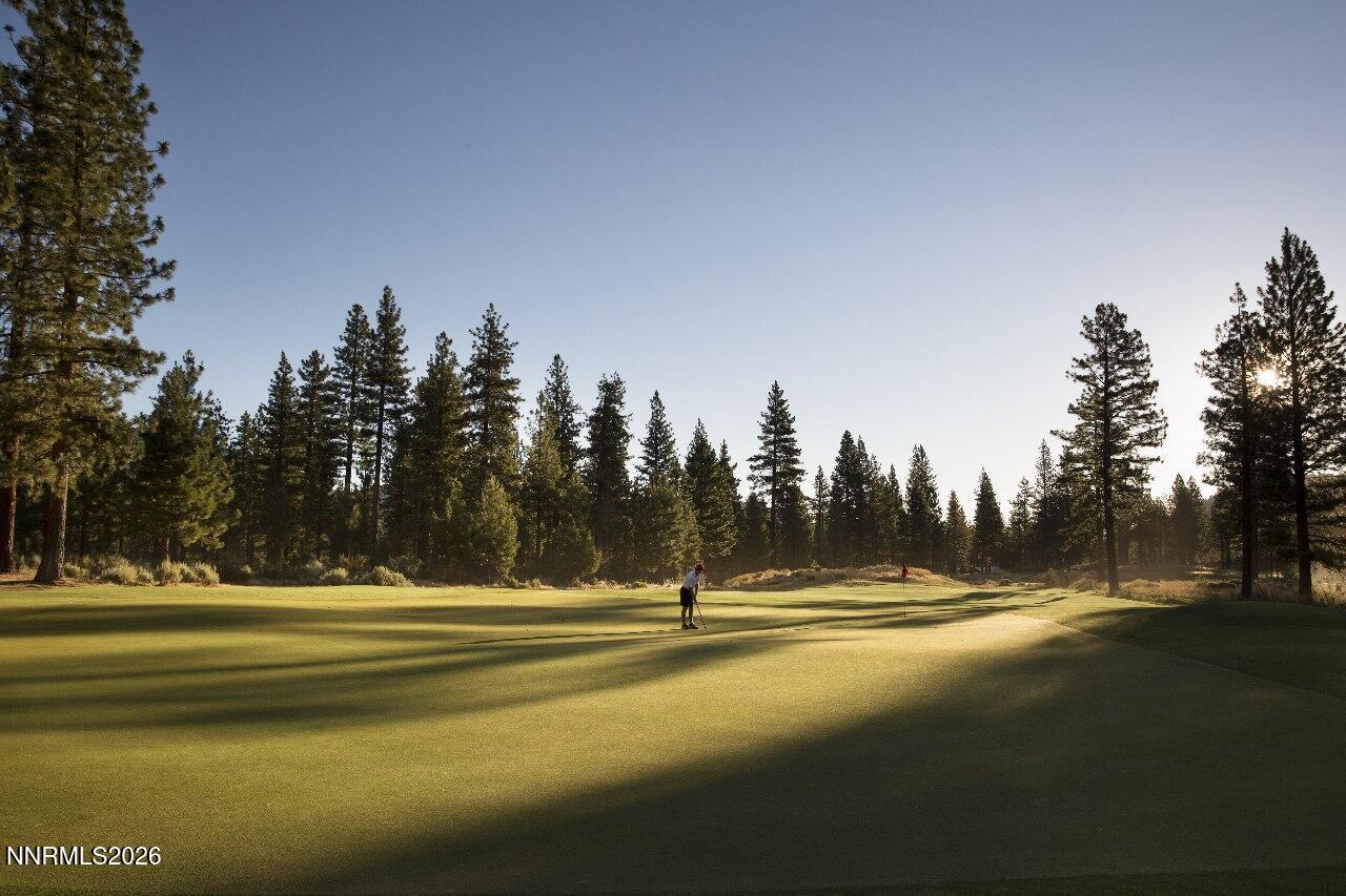 Golf Course