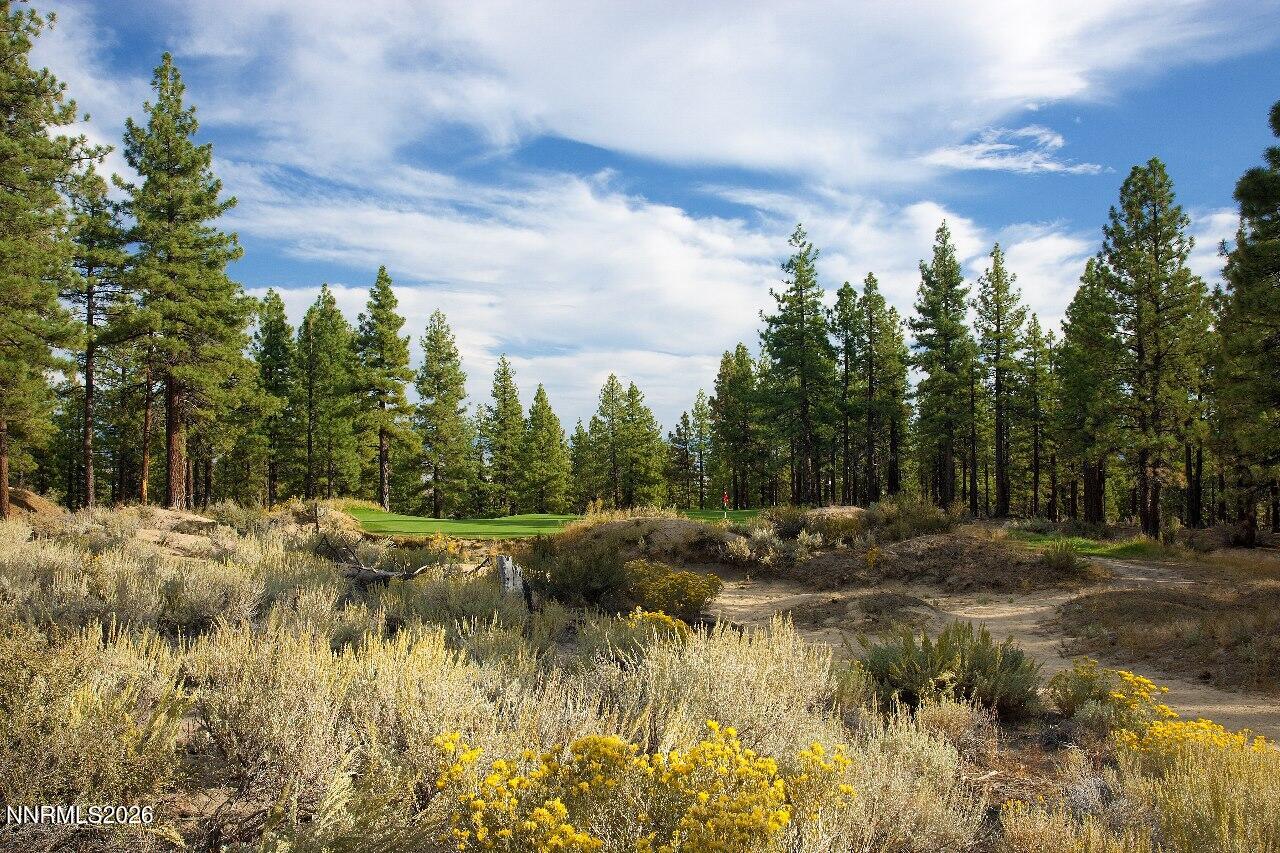 Golf Course