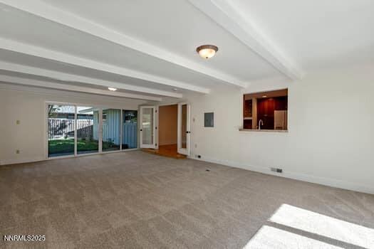 large-019a0782-e405-7249-9f39-1741d4e2b3