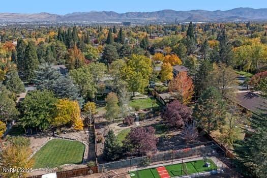 large-019a0782-f04d-7096-82d1-9836a2ebb0