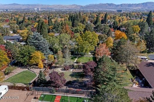 large-019a0782-f14d-7035-bcea-cdbef8590e