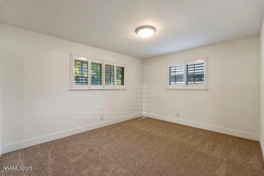 large-019a0782-e7de-72f6-bdd0-b3fcc42707