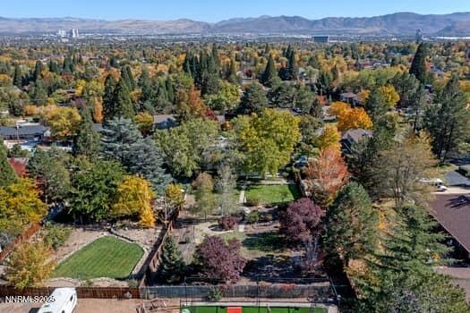 large-019a0782-f1af-7394-8d9a-1397ae3de7