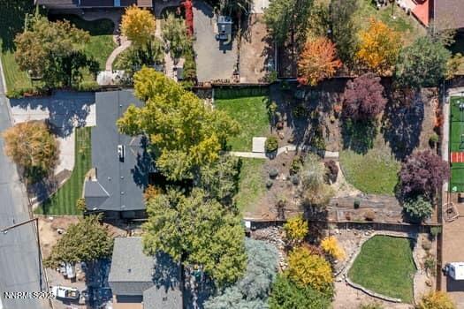 large-019a0782-eb5a-7016-9096-48750efb54