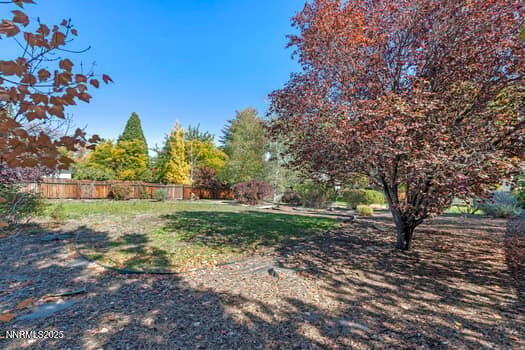 large-019a0782-eda4-723a-8dac-a5e2067bb4