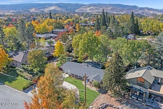 large-019a0782-efea-72e4-aed3-cc392eed34