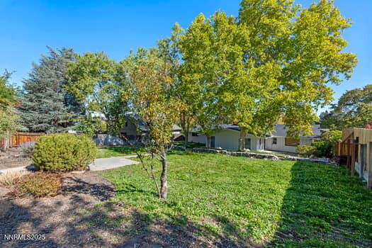 large-019a0782-ebee-720f-b4e7-eb9376f6fc