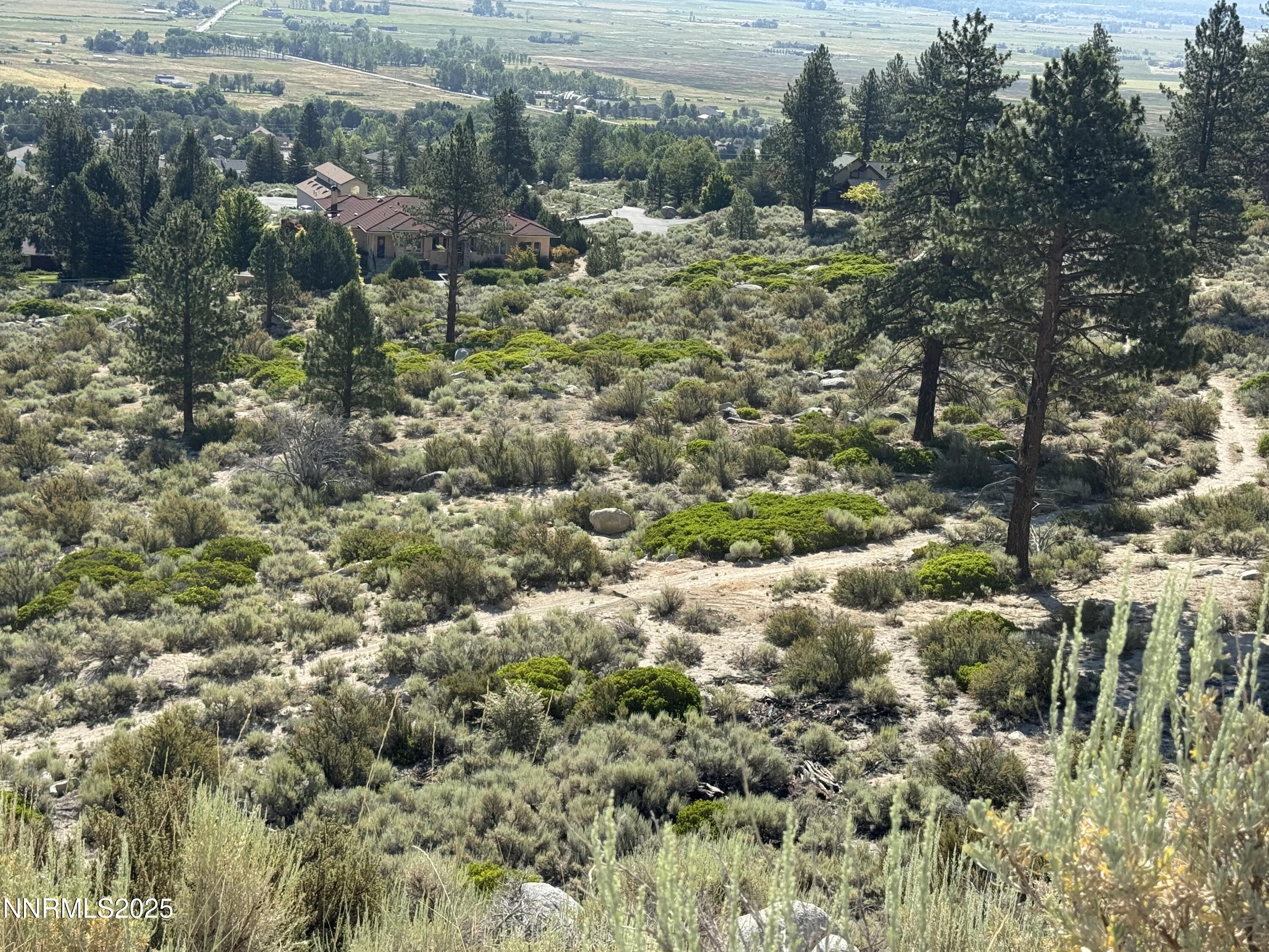 (Upload-from-mobile-1751507580)IMG_3353