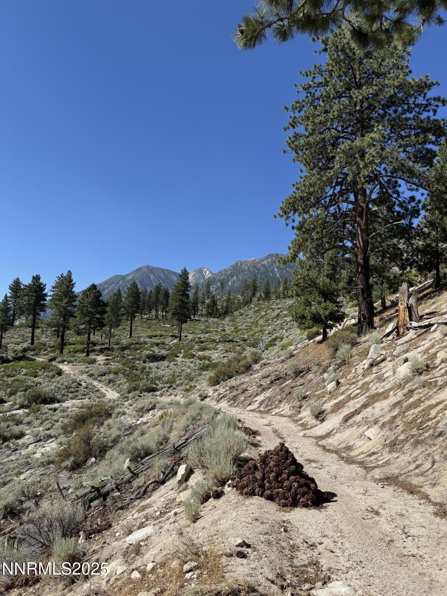 (Upload-from-mobile-1751507364)IMG_3366