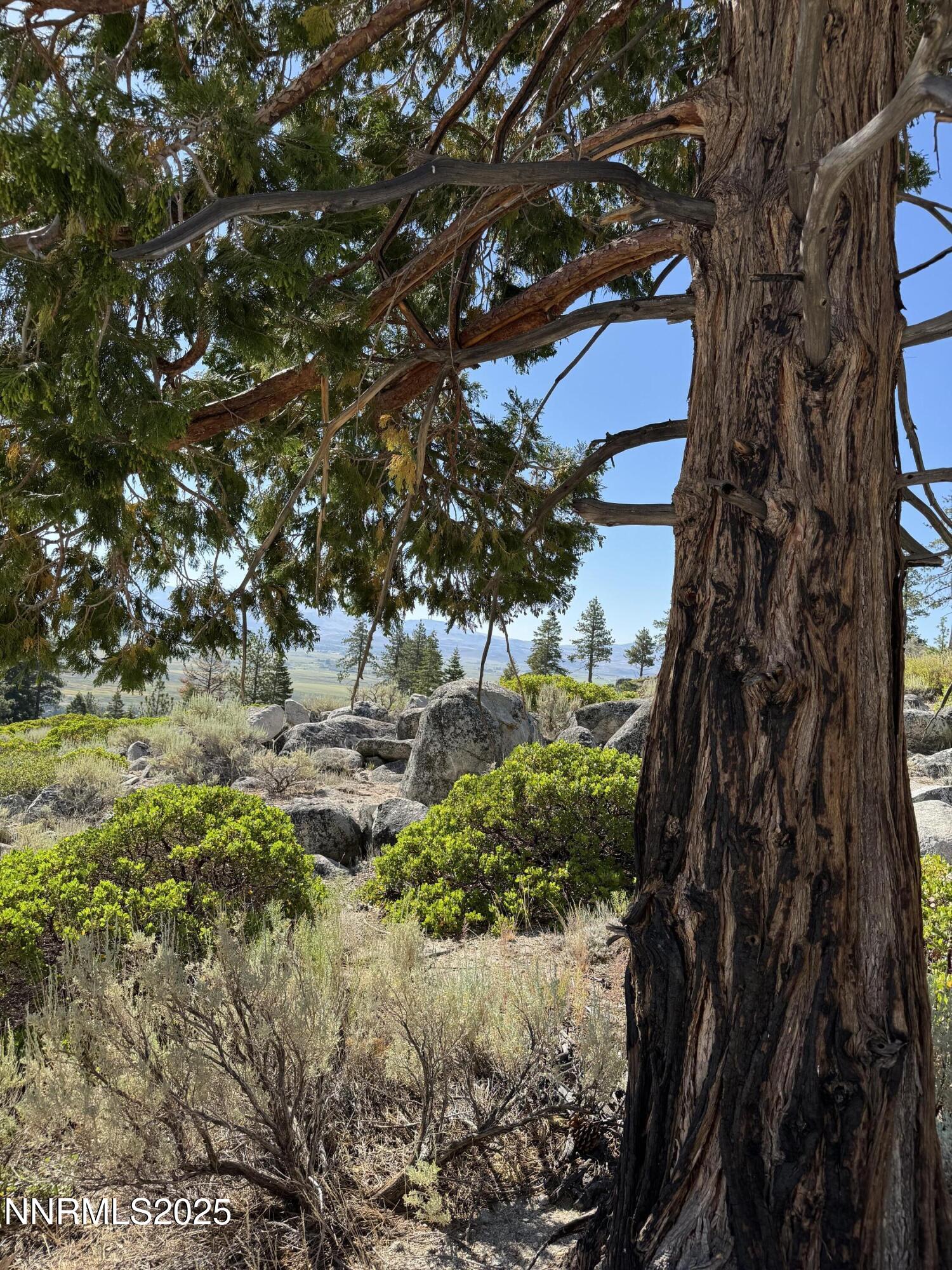 (Upload-from-mobile-1751507705)IMG_3320