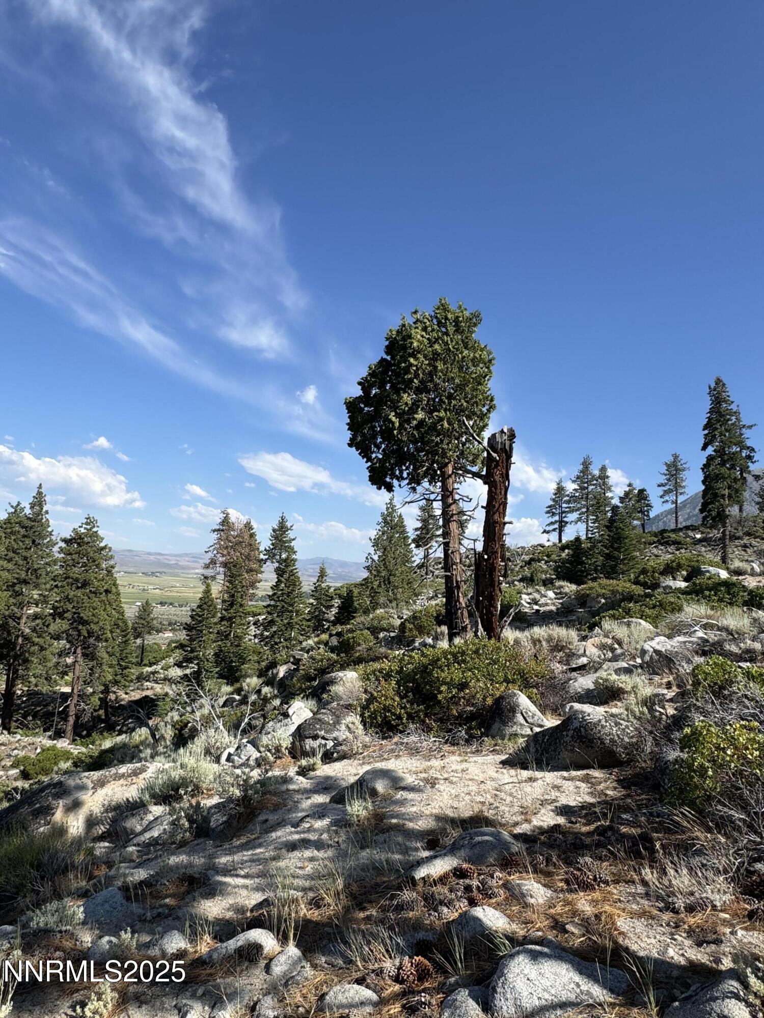 (Upload-from-mobile-1751508254)IMG_3283