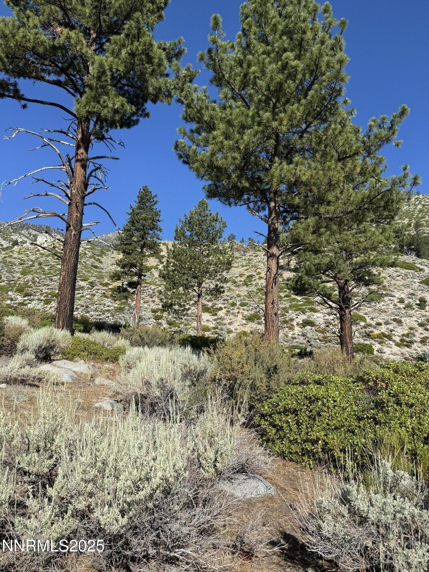 (Upload-from-mobile-1751508254)IMG_3292