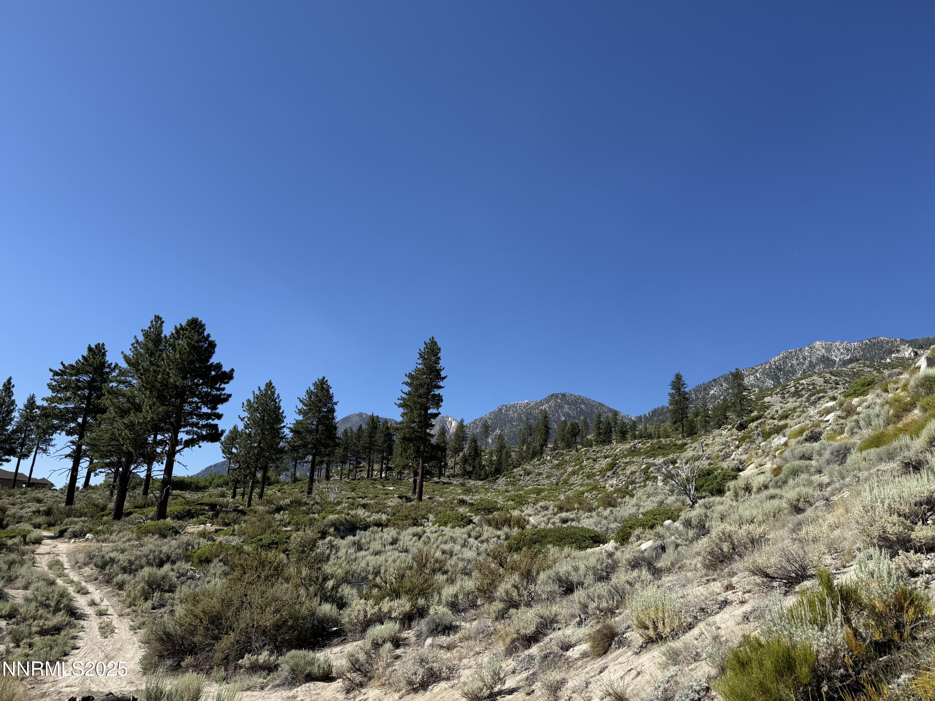 (Upload-from-mobile-1751507364)IMG_3367