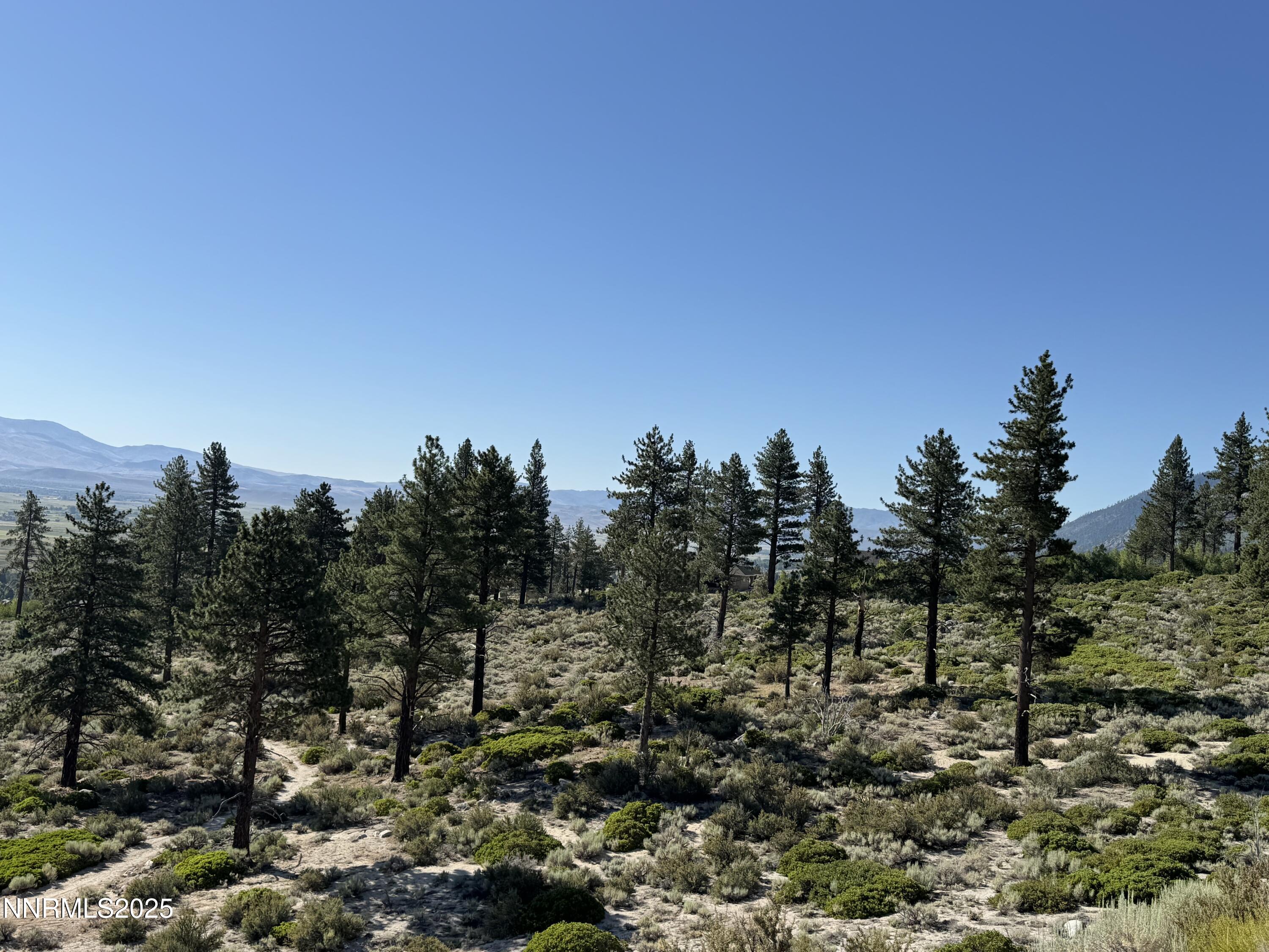 (Upload-from-mobile-1751507705)IMG_3311