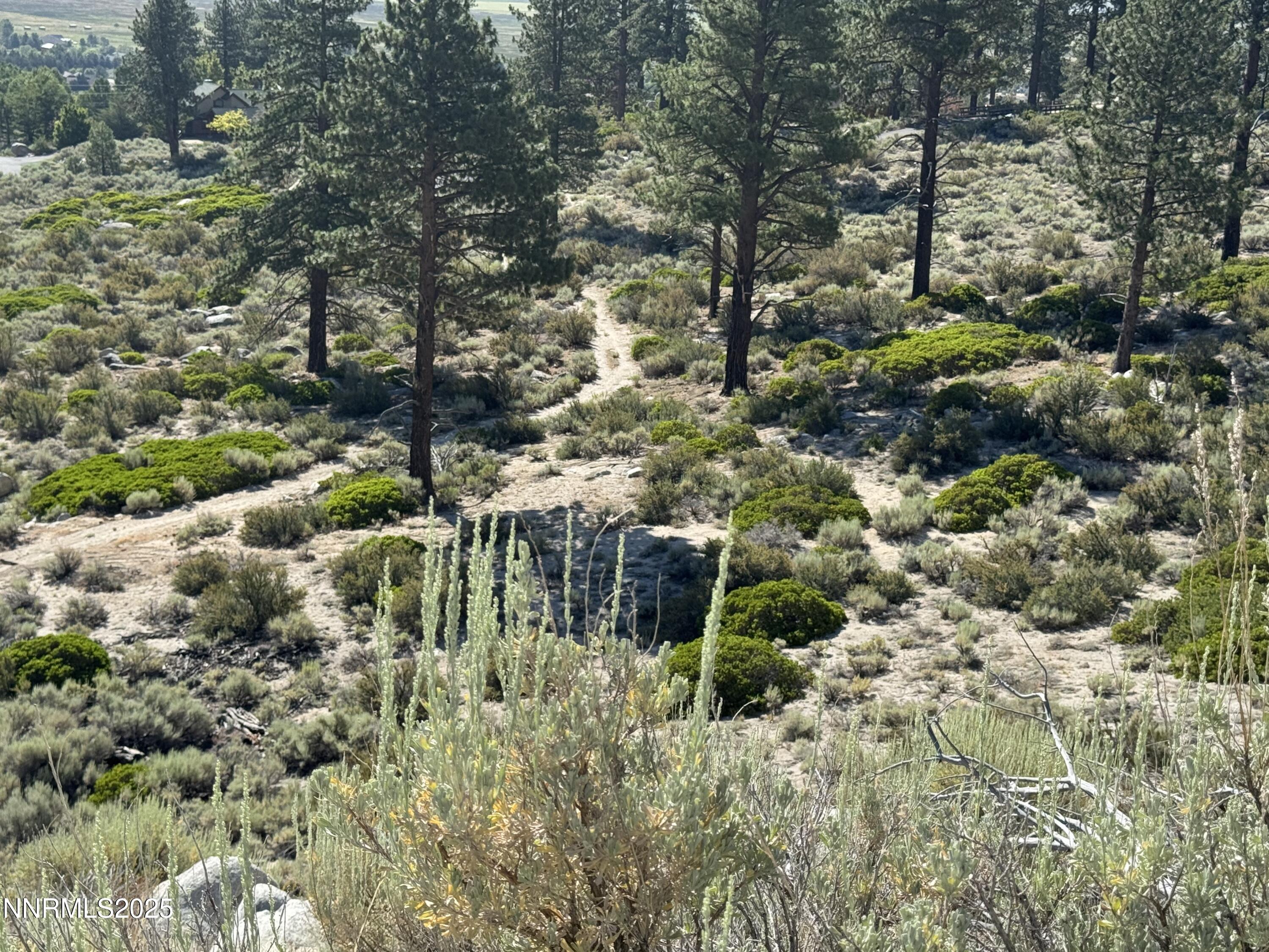 (Upload-from-mobile-1751507580)IMG_3354